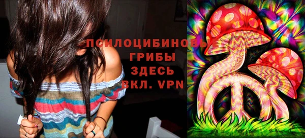 альфа пвп Алексеевка