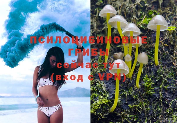 кокаин колумбия Алексин