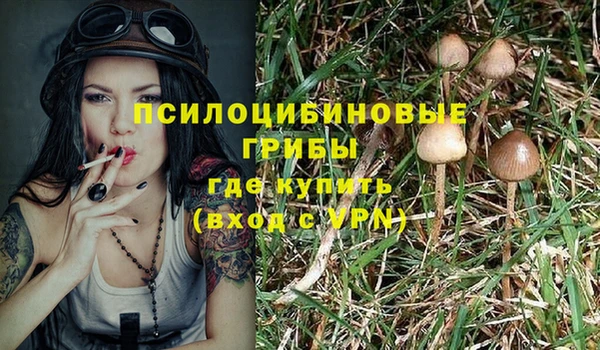 герыч Алзамай