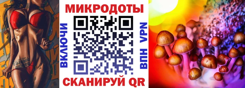 где можно купить Аркадак Галлюциногенные грибы ЛСД